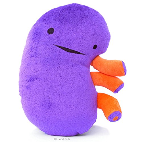 Colossal Kidney Plush - When Urine Love! - I Heart Guts Series by I Heart Guts