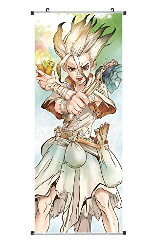 CoolChange Poster para enrollar /Kakemono de Dr. Stone Hecho de paño, 100x40cm, Motivo: Ishigami Senkuu