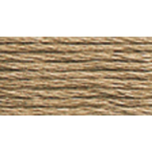 DMC 6-Strand Embroidery Cotton 8.7yd-Light Beige Brown