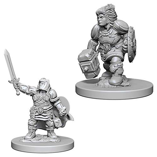 Dwarf Female Paladin: D&D Nolzur’s Marvelous Unpainted Miniatures