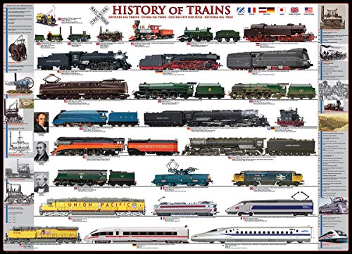 EuroGraphics History of Trains 1000pcs Puzzle - Rompecabezas (Puzzle Rompecabezas, Vehículos, Niños y Adultos, Niño/niña, Interior, Caja)