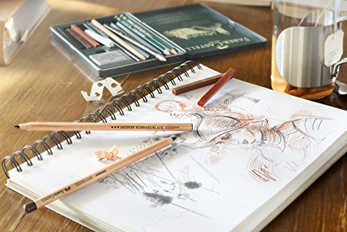 Faber-Castell 122878b – Artista Tiza Pitt Monochrome Sepia con números Romanos, Juego de 12