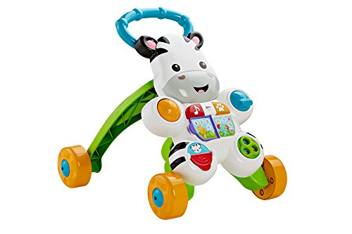 Fisher First Steps Pushable - Juguete electrónico Educativo con música y Sonidos, Apto para niños a Partir de 6 Meses, Cebra, Multicolor