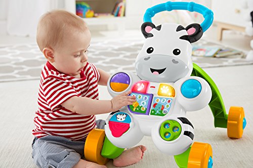 Fisher First Steps Pushable - Juguete electrónico Educativo con música y Sonidos, Apto para niños a Partir de 6 Meses, Cebra, Multicolor