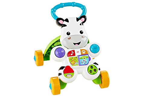 Fisher First Steps Pushable - Juguete electrónico Educativo con música y Sonidos, Apto para niños a Partir de 6 Meses, Cebra, Multicolor