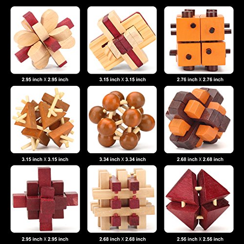 Gracelaza 18 Piezas Juguetes Rompecabezas de Madera Caja Set - IQ Juguete Educativo - 3D Brain Teaser Puzzle de Madera - Juego Niños y Adolescentes