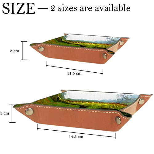 HOHOHAHA Bandeja de dados, bandeja plegable de cuero sintético para juegos de rol y otros juegos de mesa de juegos de mesa, dinosaurio prehistórico