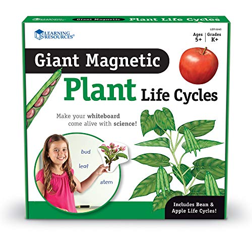 Learning Resources- Ciclo de Vida de Plantas magnético Gigante, Color (LER6045)