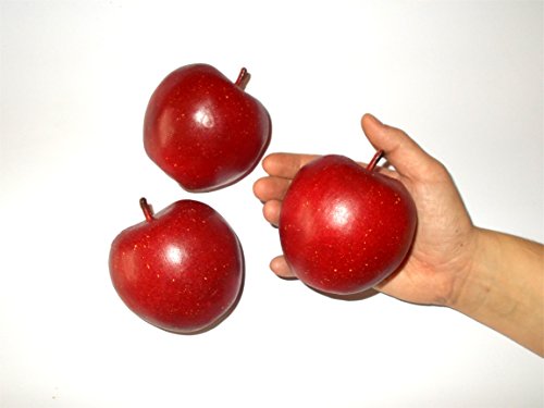 Lot de 3 – attrappen Pomme – Fruits Rouges factice comme requsite, pommes en plastique alimentaire, poupées en bois de décoration, été, fruits Copie de ernäh Run Conseils, objet déco hohlattr appe