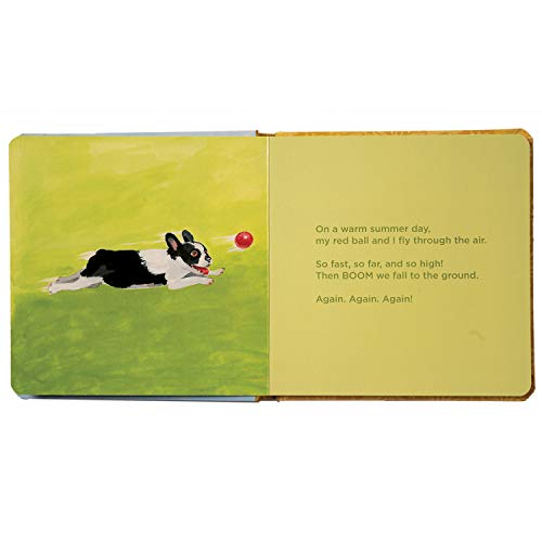 Manhattan Toy Dogs! Baby Board Book, a Partir de 6 Meses.