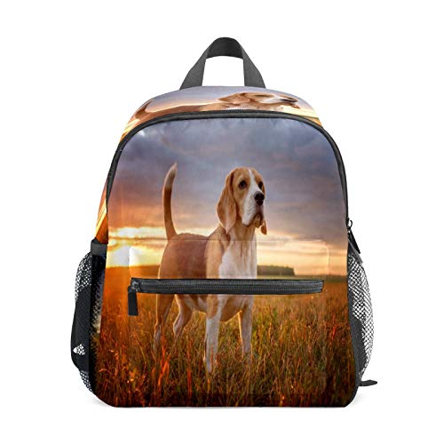 Mochila infantil para niños de 1 a 6 años de edad, mochila perfecta para niños y niñas al aire libre Beagle perro esperando puesta de sol