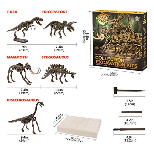 MUSCCCM Dinosaur Dig Kit, Dino Skeleton Fossil Excavation Kit Realistic Dinosaur Model Juguetes educativos Regalo para Niños Niñas