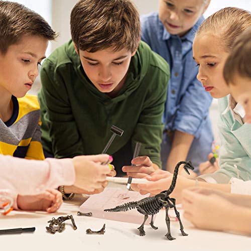 MUSCCCM Dinosaur Dig Kit, Dino Skeleton Fossil Excavation Kit Realistic Dinosaur Model Juguetes educativos Regalo para Niños Niñas