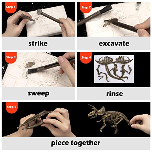 MUSCCCM Dinosaur Dig Kit, Dino Skeleton Fossil Excavation Kit Realistic Dinosaur Model Juguetes educativos Regalo para Niños Niñas