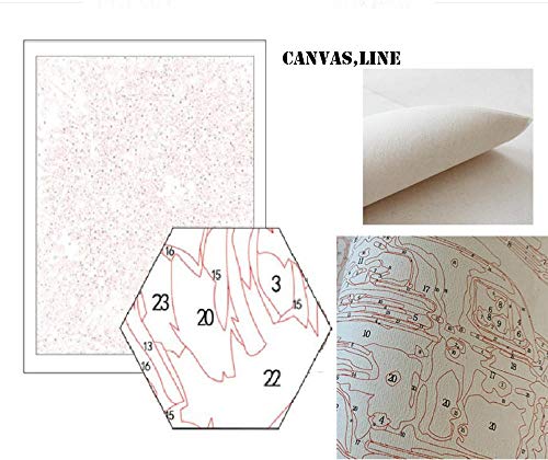 N\A Acrilico Pintura Kit DIY África Bosque Atardecer, Tigre Naturaleza Paisaje Pinturas con Numeros para Adultos For Mayores Avanzada Niños Joven Pintar Numeros 40X50Cm