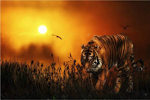 N\A Acrilico Pintura Kit DIY África Bosque Atardecer, Tigre Naturaleza Paisaje Pinturas con Numeros para Adultos For Mayores Avanzada Niños Joven Pintar Numeros 40X50Cm