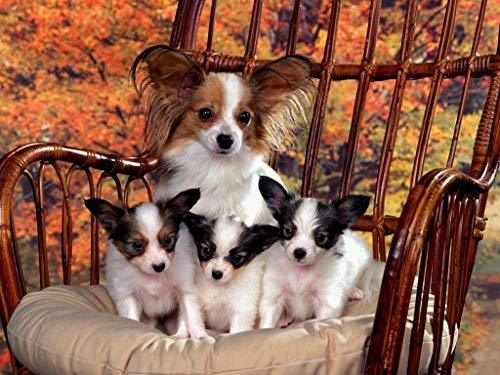 NA Puzzle de madera 1000 piezas Papillon mamá y cachorros de gran tamaño 1000 piezas de rompecabezas de madera, decoraciones y regalos únicos para el hogar (8B30)