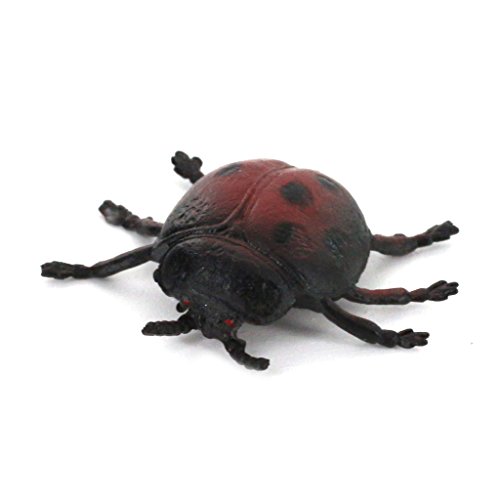 #N/A/a Figuras de Colección de Modelos de Animales de Insectos de Plástico Duro Realistas, Juego de 12