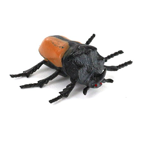 #N/A/a Figuras de Colección de Modelos de Animales de Insectos de Plástico Duro Realistas, Juego de 12