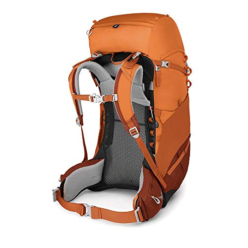 Osprey Ace 50 Mochila Infantil de Senderismo, Unisex niños, Orange Sunset, O/S