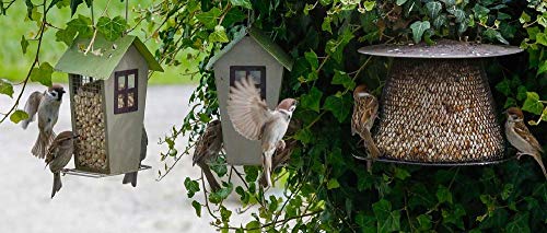 Rompecabezas De 1000 Piezas Para Adultos, Juegos Intelectuales Educativos Decoración Del Hogar Juegos De Juguetes Para Aliviar El Estrés Para La Familia - Pluma Animal Pájaro Cantor