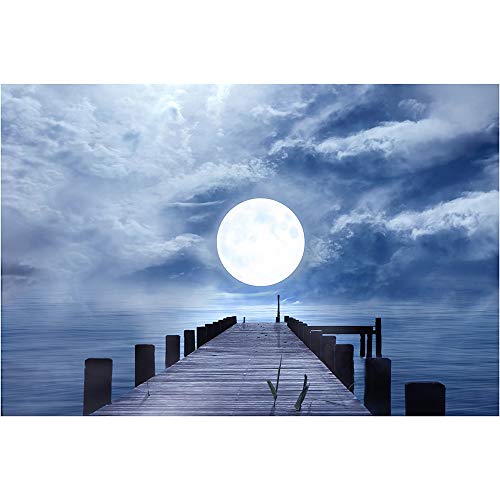 SANSHUI Jigsaw Puzzle Luna Llena del Cielo Estrellado De La Serie De Madera De Descompresión Entretenimiento Juguetes 500-4000 Piezas 0911 (Size : 3000pieces)