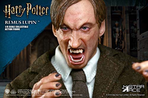 Star- Flash Figura Harry Potter Lupin (SA0075)