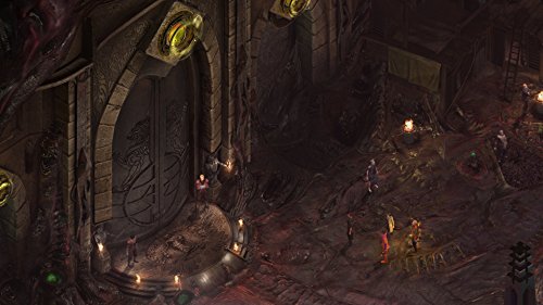 Torment: Tides of Numenera - Edizione Day-One - PC [Importación italiana]