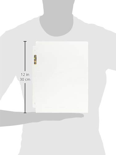 Ultra Pro 1 Pocket Page Pantalla de 1 Bolsillo de página-Platino (100 Unidades), Unisex Adulto, 1 Pack