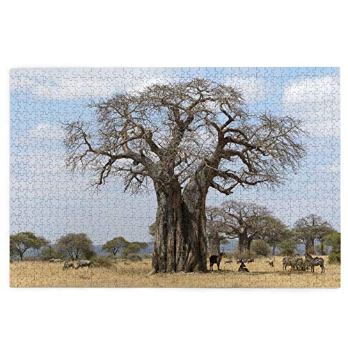 Yoliveya Sierra calar de 1000 Piezas,Arbol del Baobab,Juegos Rompecabezas imágenes para Adultos y niños Regalo graduación de Boda Familiar