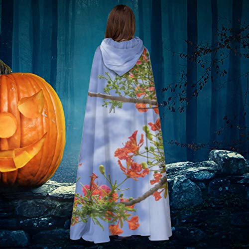 Yushg Red Royal Poinciana Flowers Bloom Adult Cloak Cloaks para Adultos 59 Pulgadas para Navidad Disfraces de Halloween Cosplay