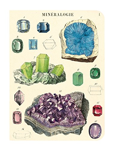 Cavallini Papers & Co., Inc. Mineralogy - Mini cuadernos (10 x 14 cm)