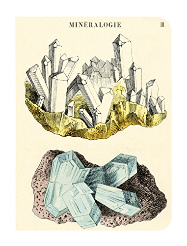 Cavallini Papers & Co., Inc. Mineralogy - Mini cuadernos (10 x 14 cm)