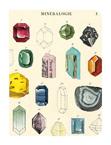 Cavallini Papers & Co., Inc. Mineralogy - Mini cuadernos (10 x 14 cm)