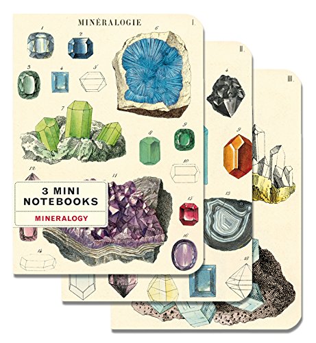 Cavallini Papers & Co., Inc. Mineralogy - Mini cuadernos (10 x 14 cm)