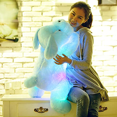 30cm Perro Peluche, 7 Cambio de Color LED Aclarar Juguete de Perro Relleno Almohada de Felpa Luz, Juguetes de Perro de Peluche Animal de Mar Relleno Muñecas Lindas para Niñas Niños, Rosa