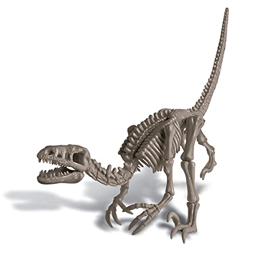 4M- Dig A Velociraptor Skeleton Mundo Animal (5613234)