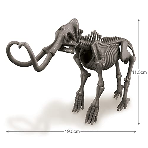 4M- Dig A Velociraptor Skeleton Mundo Animal (5613234)