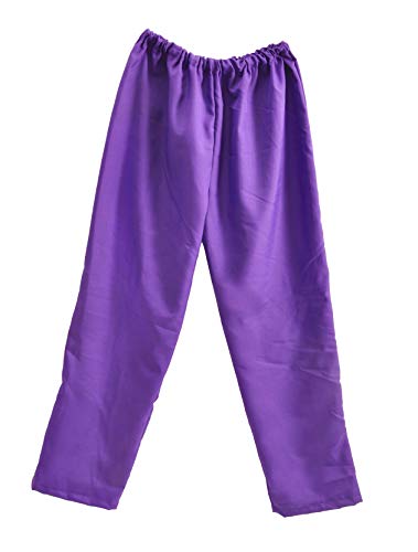 Ciao-11684 Disfraces para Adultos, Color Viola, XL (52-54) (11684