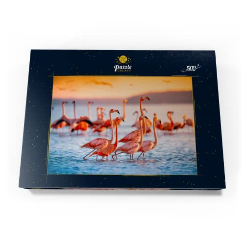 Flamencos Rosados En Una Brillante Puesta De Sol - Premium 500 Piezas Puzzles - Colección Especial MyPuzzle de Puzzle Galaxy