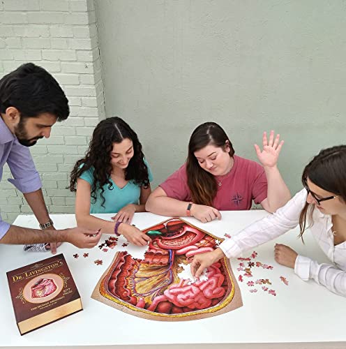 Genius Games Human Abdomen - Dr Livingston's Human Anatomy 500 Piece Stomach Jigsaw Puzzle - Educational 21 Inch Learning Toy for Children - Fun Kids Learn Medical Science Game - Anatomical Organs 03