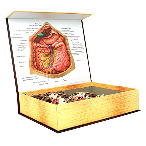 Genius Games Human Abdomen - Dr Livingston's Human Anatomy 500 Piece Stomach Jigsaw Puzzle - Educational 21 Inch Learning Toy for Children - Fun Kids Learn Medical Science Game - Anatomical Organs 03