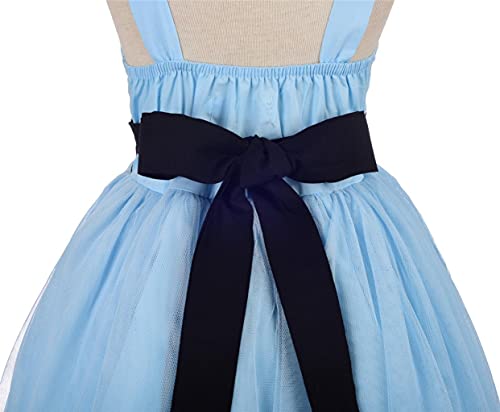 Lito Angels Disfraz de Alicia en el País de las Maravillas con Aro de Pelo para Bebe Niñas, Vestido de Tul de Verano con Delantal Blanco, Talla 6-12 meses, Azul