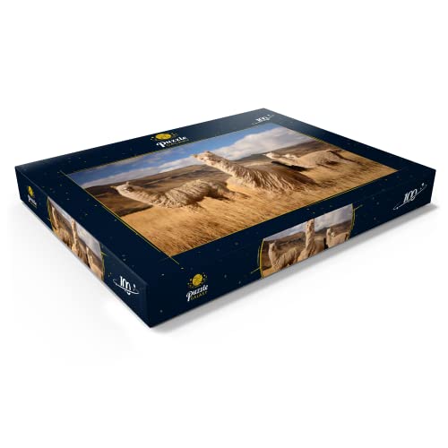 Llamas (Alpacas) En Los Andes, Perú, Sudamérica - Premium 100 Piezas Puzzles - Colección Especial MyPuzzle de Puzzle Galaxy