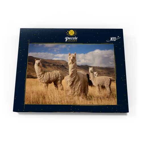 Llamas (Alpacas) En Los Andes, Perú, Sudamérica - Premium 100 Piezas Puzzles - Colección Especial MyPuzzle de Puzzle Galaxy