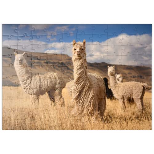 Llamas (Alpacas) En Los Andes, Perú, Sudamérica - Premium 100 Piezas Puzzles - Colección Especial MyPuzzle de Puzzle Galaxy