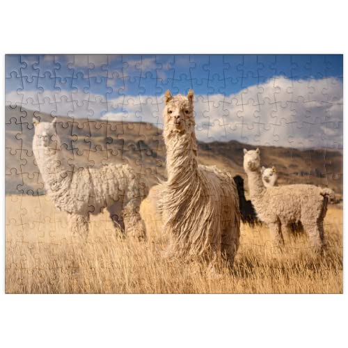 Llamas (Alpacas) En Los Andes, Perú, Sudamérica - Premium 200 Piezas Puzzles - Colección Especial MyPuzzle de Puzzle Galaxy