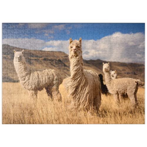 Llamas (Alpacas) En Los Andes, Perú, Sudamérica - Premium 500 Piezas Puzzles - Colección Especial MyPuzzle de Puzzle Galaxy