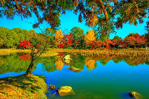 MA-XXUOUO Rompecabezas de 1000 Piezas, Kyoto Japón Daikaku-ji Parque Natural de otoño Ríos