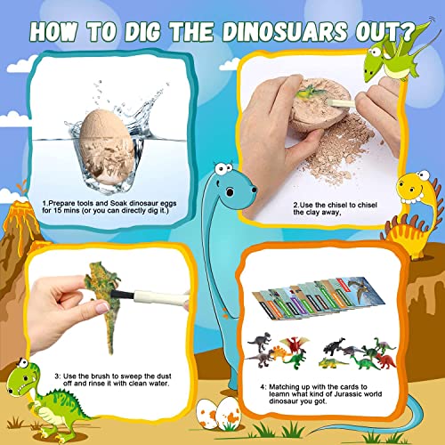 Morkka Huevos de Dinosaurio de Kit de Excavación Paquete de 12, Descubre 12 Dinosaurios Diferentes, Fiesta de Pascua de Juguete Stem Juguetes Educativos para Niños de 6+ Años Regalo de Niños Niñas